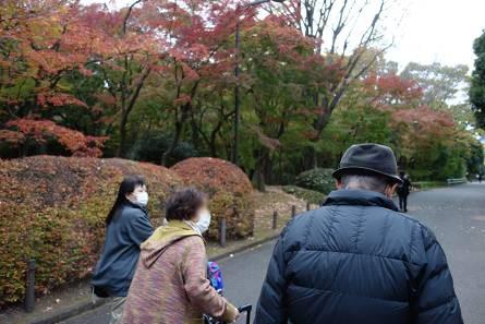 me-momiji_20201201-3.jpg