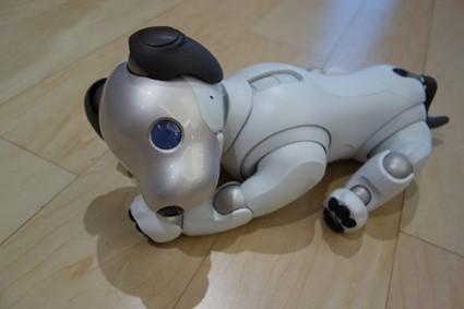 oto-aibo_20201002-2.jpg