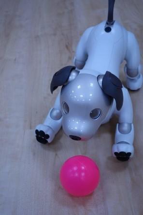 oto-aibo_20201002-4.jpg