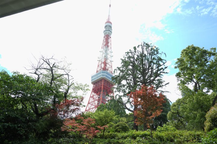 懐かしくも新しい『東京タワー日帰りの旅』　～後編～