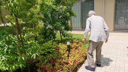 shakuji-garden_20200605-4.jpg